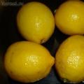 Nakládané citrony – jak je fermentovat a co jíst s Nakládanými citrony