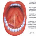 Vnetje dlesni in ustne sluznice Zdravljenje Zdravljenje ustne votline