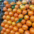 Kako se zove i kako izgleda hibrid narandže i mandarine